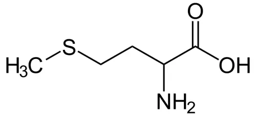 Methionin Strukturformel
