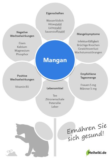 Mangan Infografik