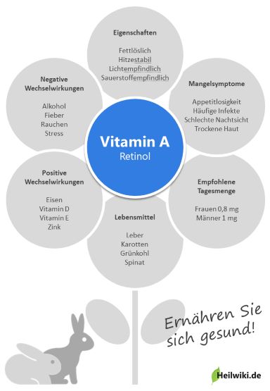 Vitamin A Infografik
