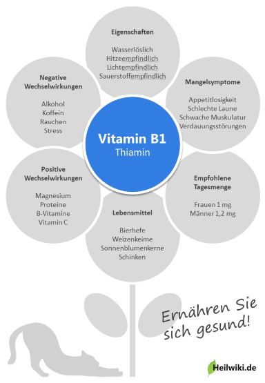 Vitamin B1 Infografik