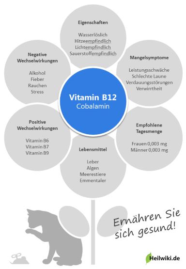 Vitamin B12 Infografik