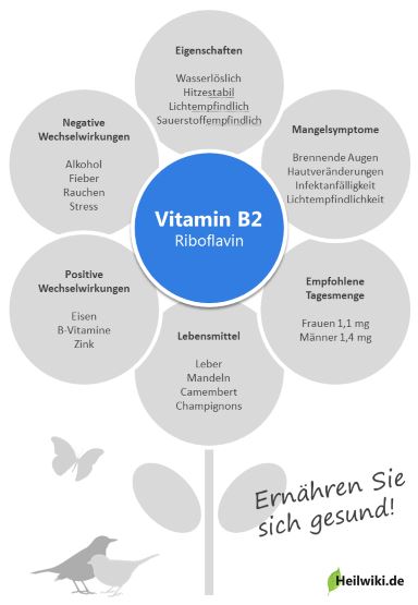 Vitamin B2 Infografik