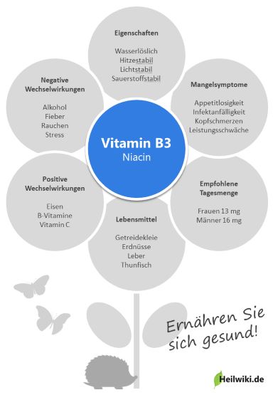 Vitamin B3 Infografik