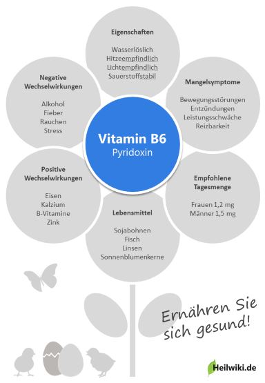 Vitamin B6 Infografik