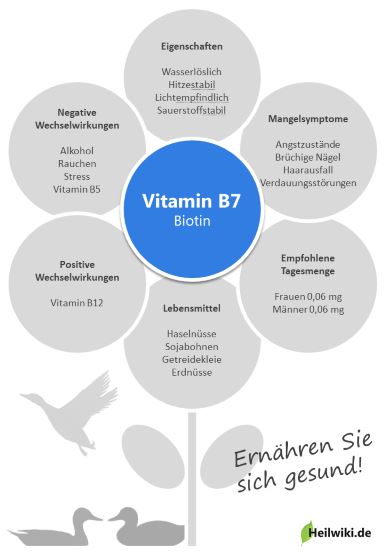 Vitamin B7 Infografik