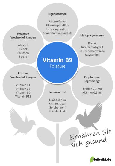Vitamin B9 Infografik