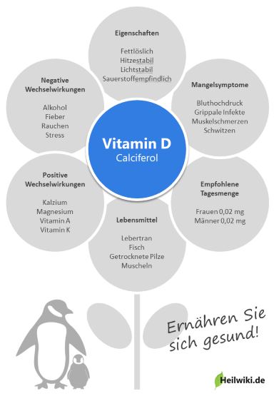 Vitamin D Infografik