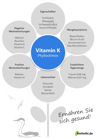Vitamin K Infografik